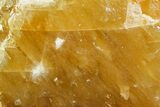 Free-Standing Golden Calcite - Chihuahua, Mexico #155792-2